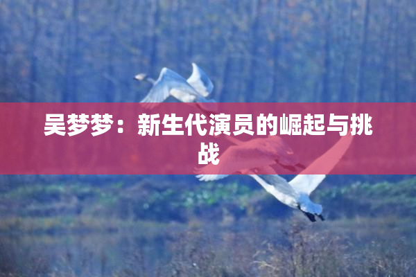 吴梦梦：新生代演员的崛起与挑战