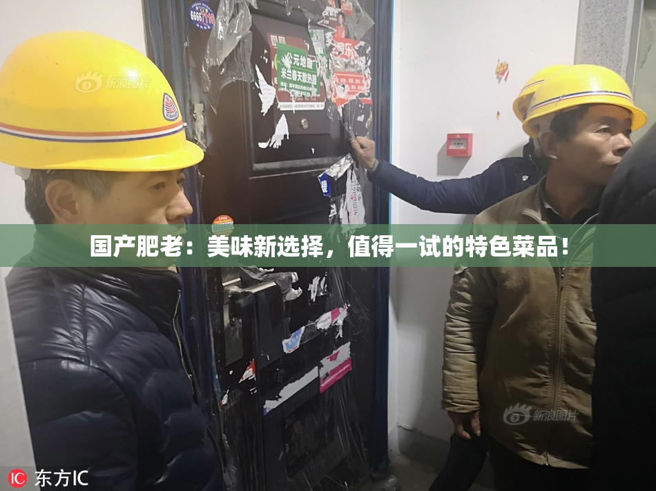 国产肥老：美味新选择，值得一试的特色菜品！