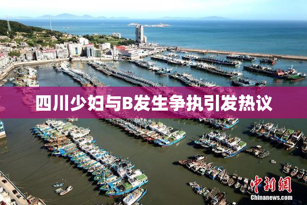 四川少妇与B发生争执引发热议
