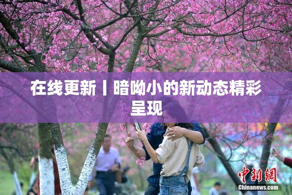在线更新丨暗呦小的新动态精彩呈现