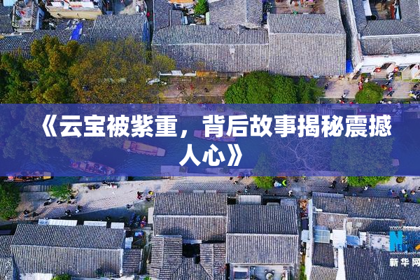 《云宝被紫重，背后故事揭秘震撼人心》