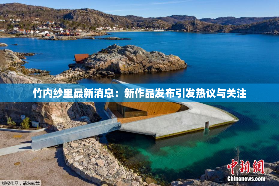 竹内纱里最新消息：新作品发布引发热议与关注
