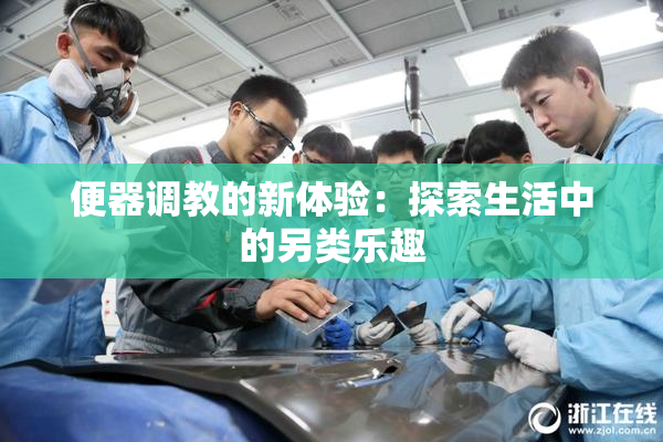便器调教的新体验：探索生活中的另类乐趣