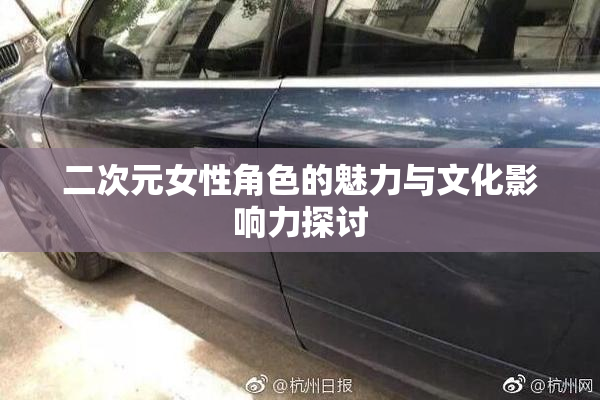 二次元女性角色的魅力与文化影响力探讨