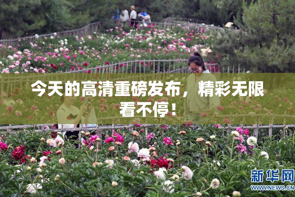 今天的高清重磅发布，精彩无限看不停！