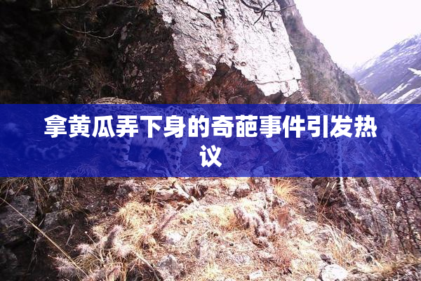 拿黄瓜弄下身的奇葩事件引发热议