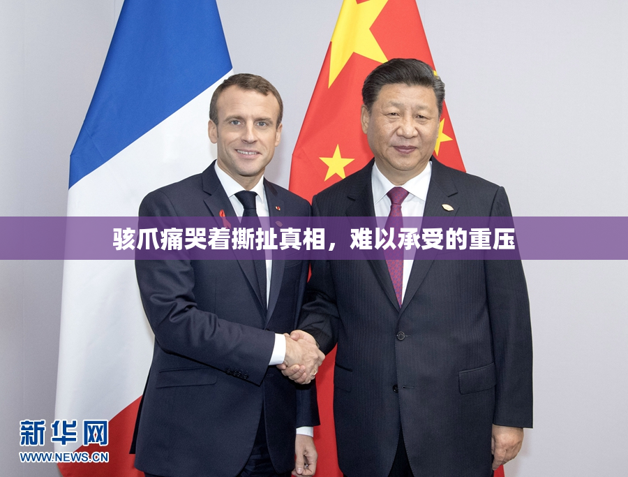 骇爪痛哭着撕扯真相，难以承受的重压