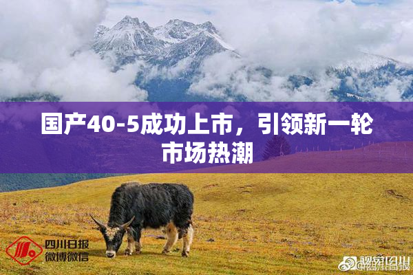 国产40-5成功上市，引领新一轮市场热潮