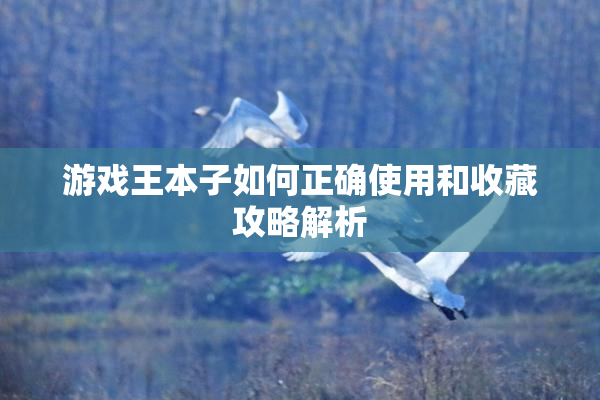 游戏王本子如何正确使用和收藏攻略解析