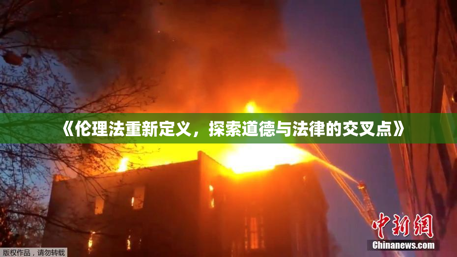 《伦理法重新定义，探索道德与法律的交叉点》