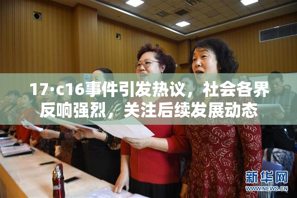17·c16事件引发热议，社会各界反响强烈，关注后续发展动态