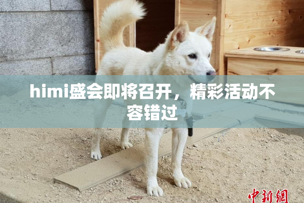 himi盛会即将召开，精彩活动不容错过