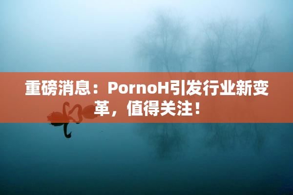 重磅消息：PornoH引发行业新变革，值得关注！
