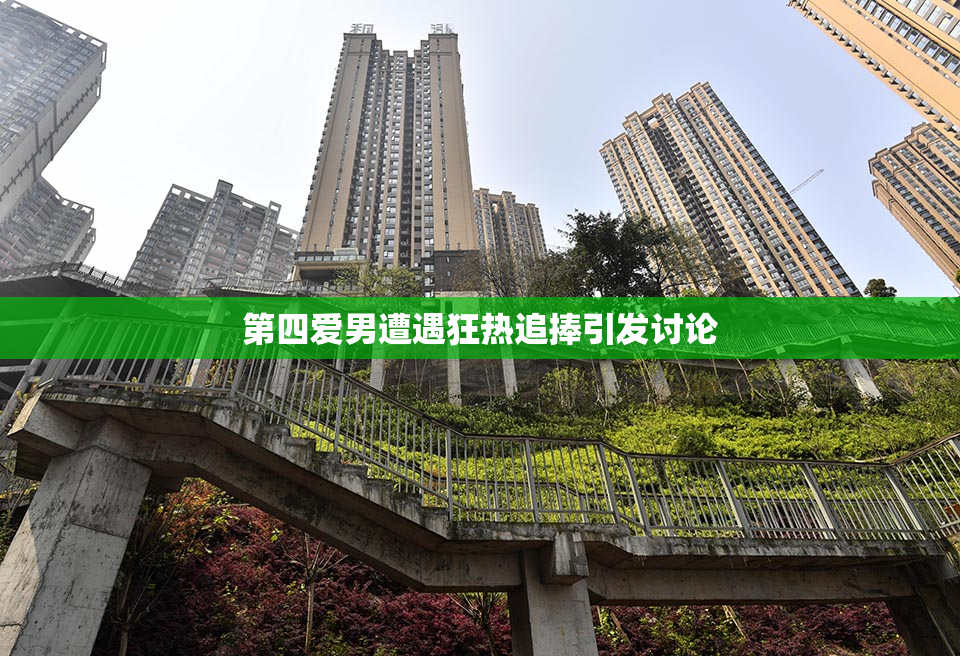 第四爱男遭遇狂热追捧引发讨论