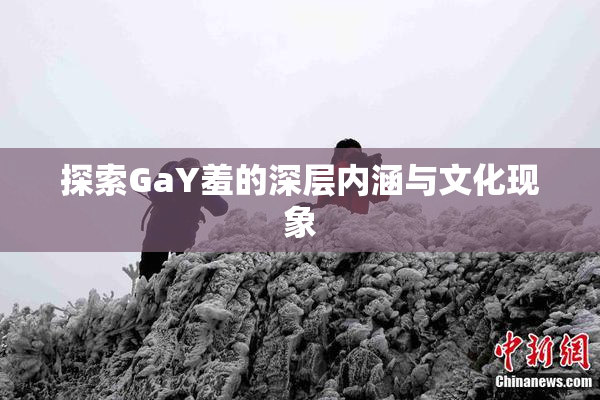 探索GaY羞的深层内涵与文化现象