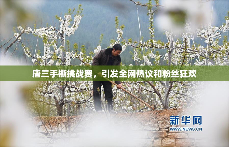 唐三手撕挑战赛，引发全网热议和粉丝狂欢