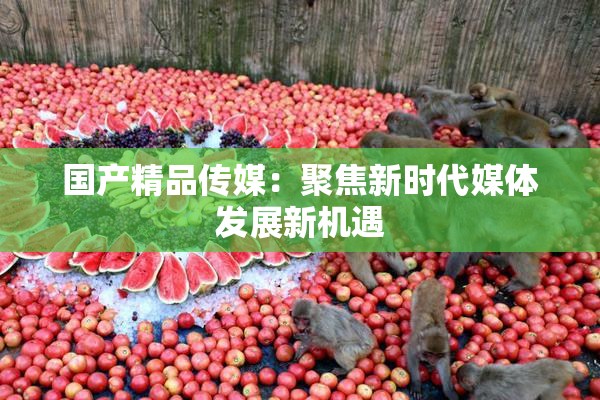 国产精品传媒：聚焦新时代媒体发展新机遇