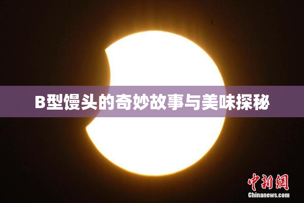 B型馒头的奇妙故事与美味探秘