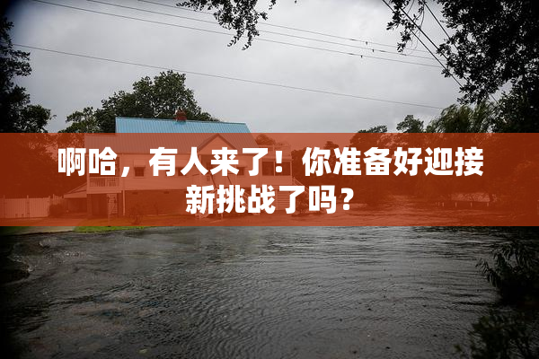 啊哈，有人来了！你准备好迎接新挑战了吗？