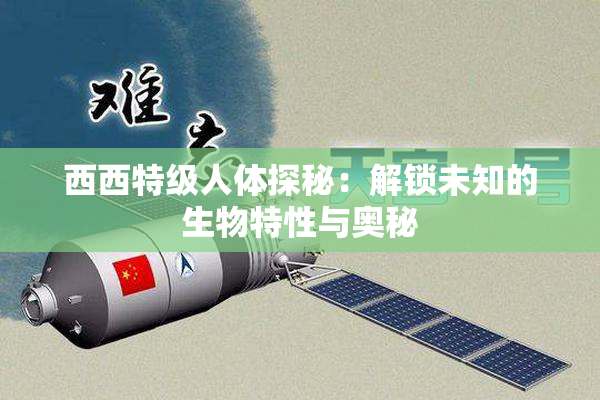 西西特级人体探秘：解锁未知的生物特性与奥秘