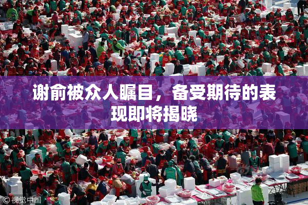 谢俞被众人瞩目，备受期待的表现即将揭晓