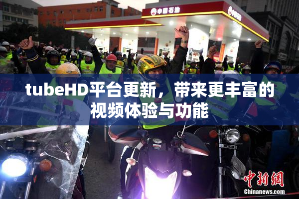 tubeHD平台更新，带来更丰富的视频体验与功能