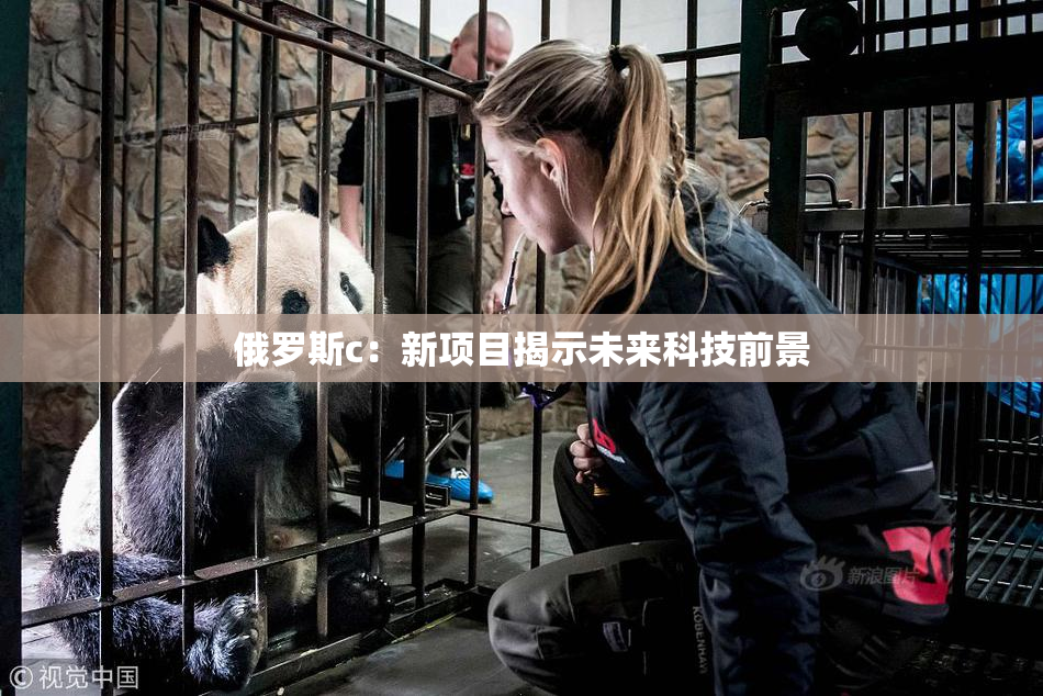 俄罗斯c：新项目揭示未来科技前景