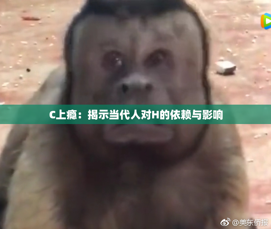 C上瘾：揭示当代人对H的依赖与影响