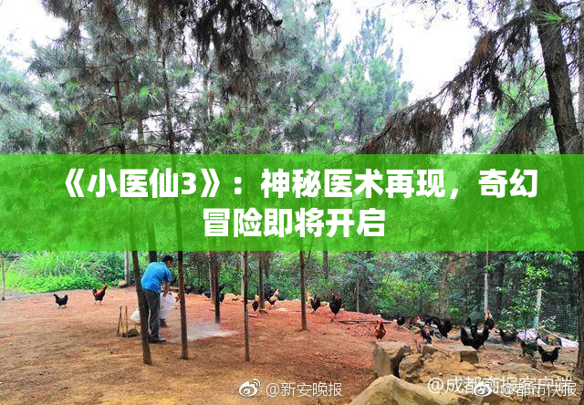 《小医仙3》：神秘医术再现，奇幻冒险即将开启