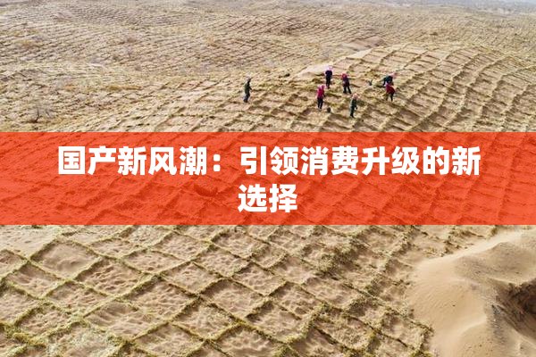 国产新风潮：引领消费升级的新选择