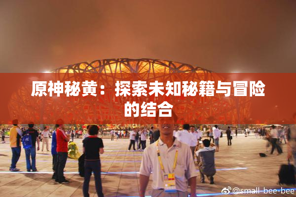 原神秘黄：探索未知秘籍与冒险的结合