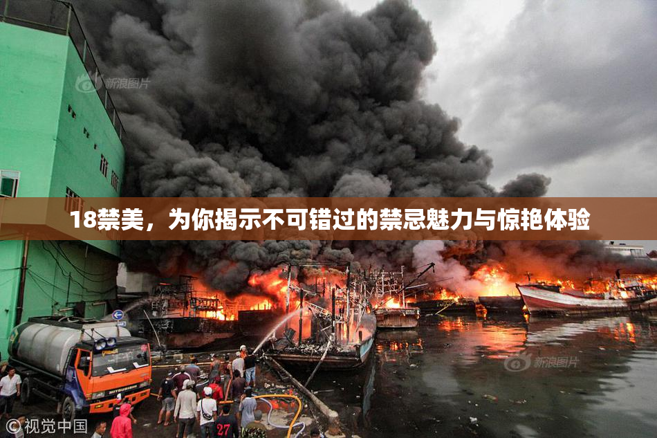 18禁美，为你揭示不可错过的禁忌魅力与惊艳体验