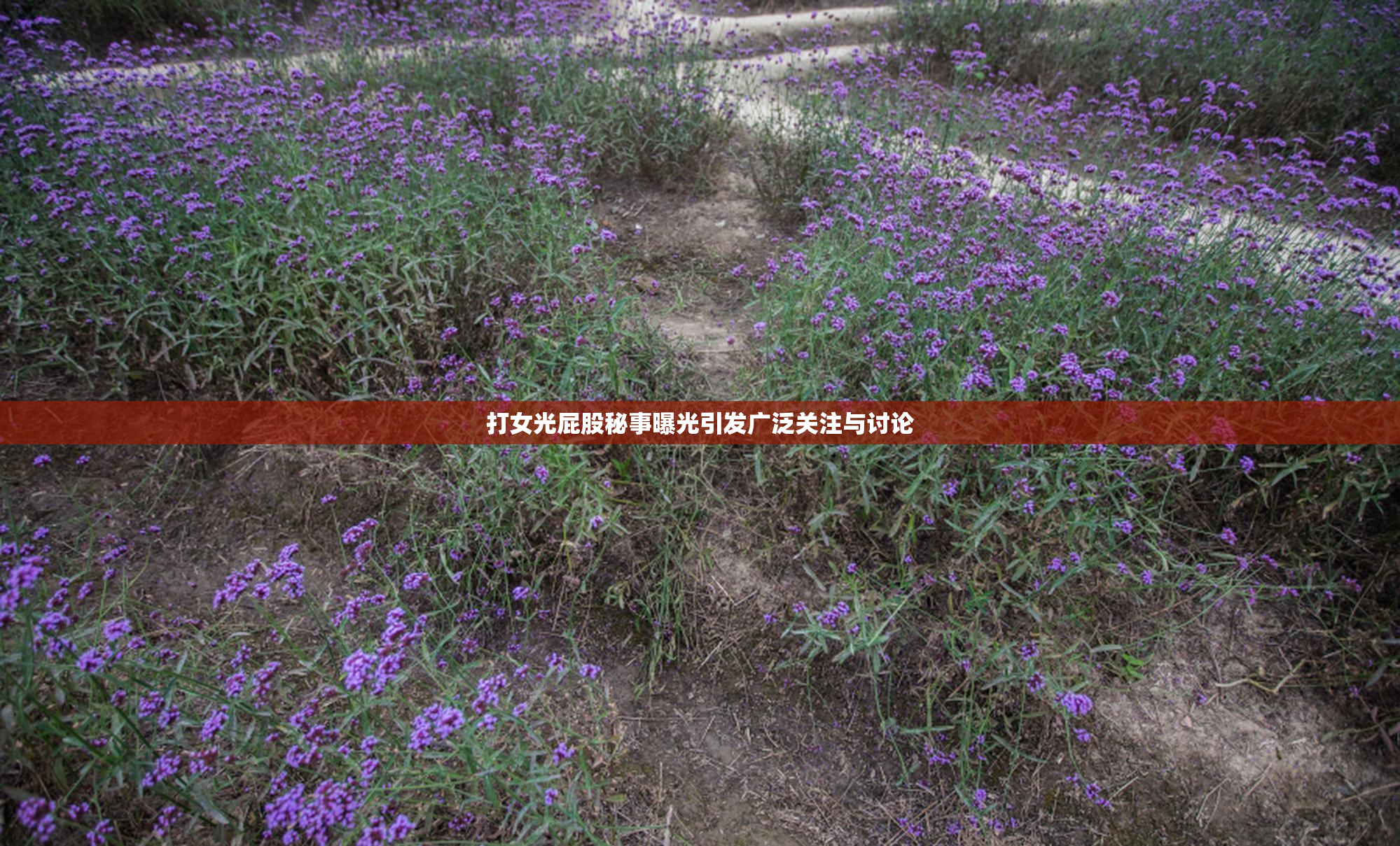 打女光屁股秘事曝光引发广泛关注与讨论