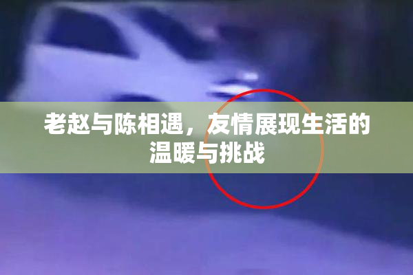 老赵与陈相遇，友情展现生活的温暖与挑战