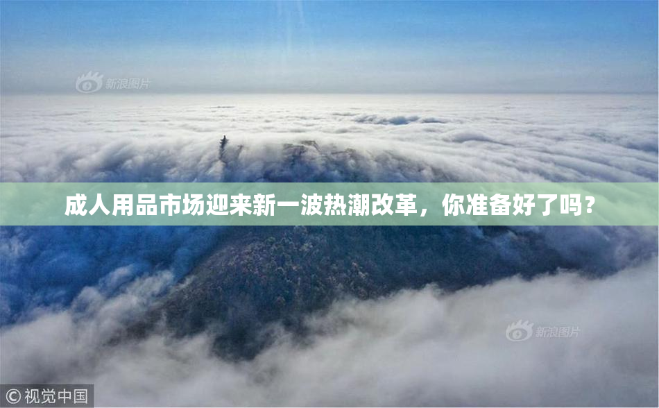 成人用品市场迎来新一波热潮改革，你准备好了吗？
