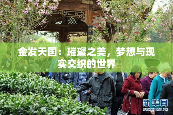 金发天国：璀璨之美，梦想与现实交织的世界
