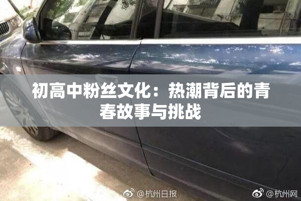 初高中粉丝文化：热潮背后的青春故事与挑战