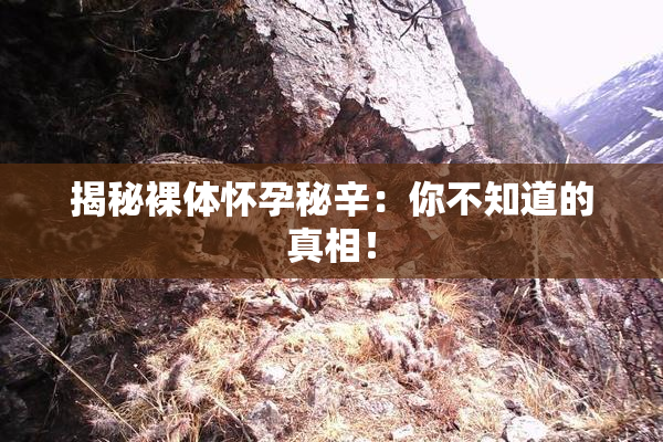 揭秘裸体怀孕秘辛：你不知道的真相！