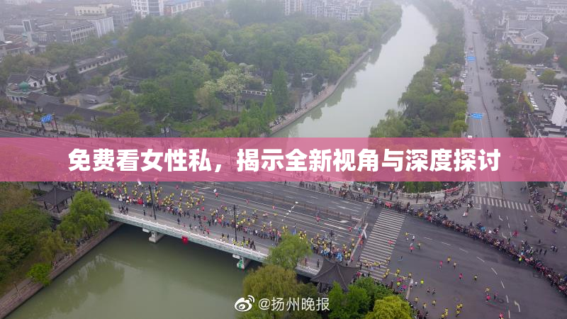 免费看女性私，揭示全新视角与深度探讨