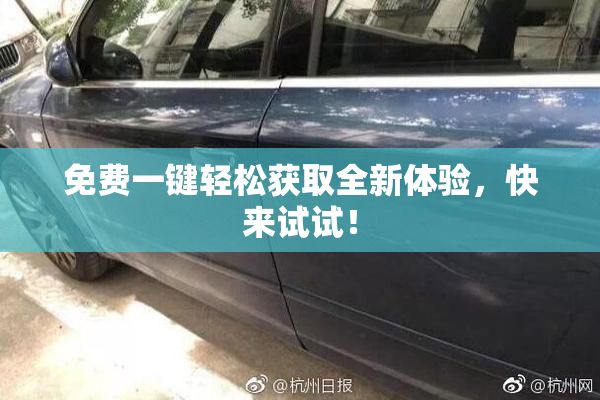 免费一键轻松获取全新体验，快来试试！