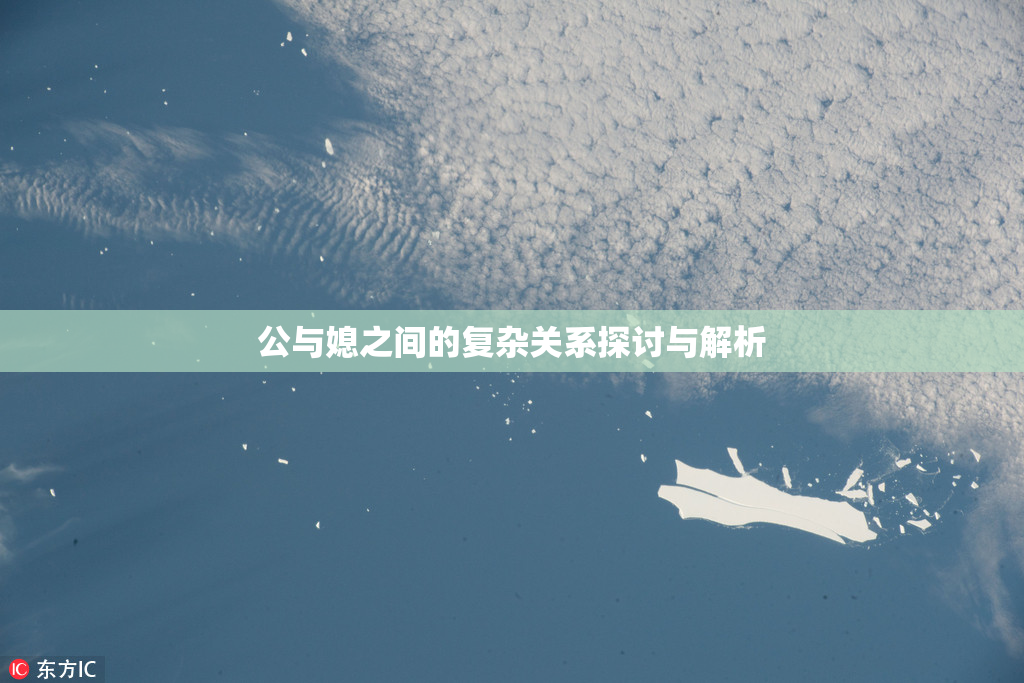 公与媳之间的复杂关系探讨与解析