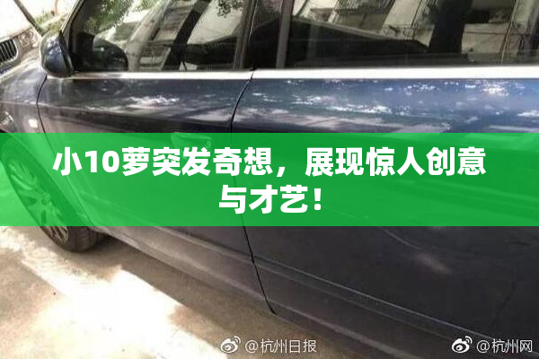 小10萝突发奇想，展现惊人创意与才艺！