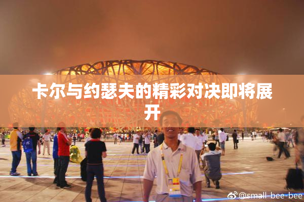 卡尔与约瑟夫的精彩对决即将展开