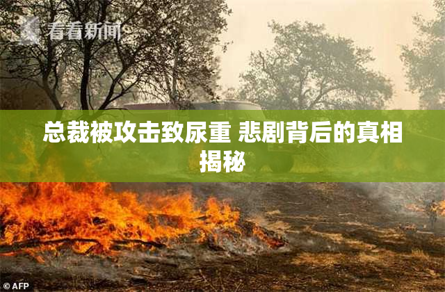 总裁被攻击致尿重 悲剧背后的真相揭秘