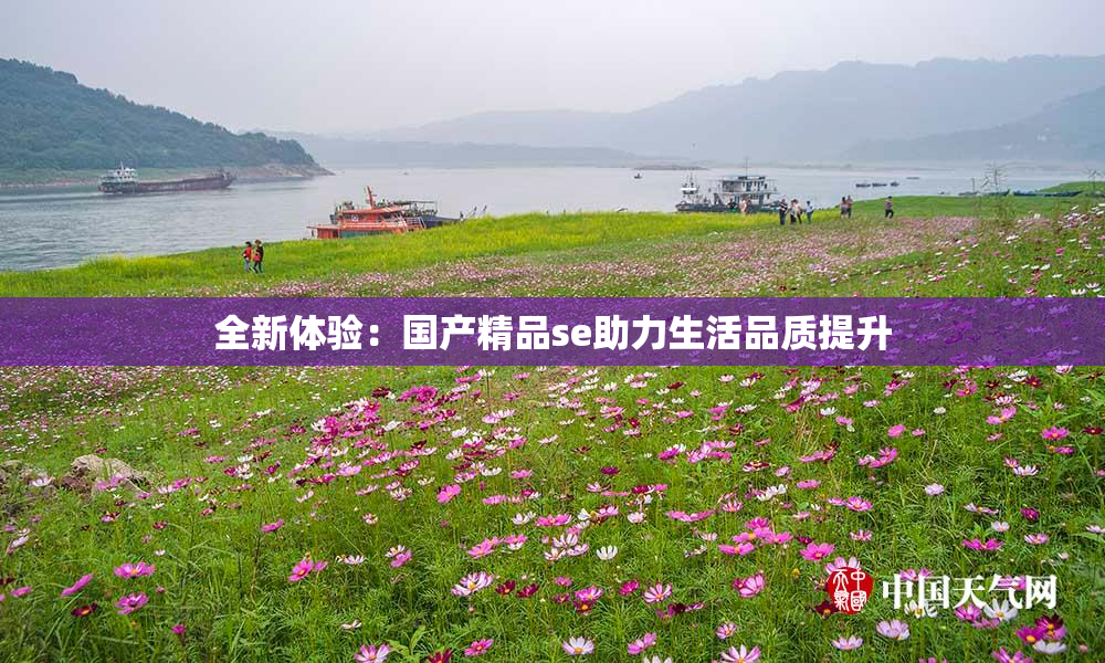 全新体验：国产精品se助力生活品质提升