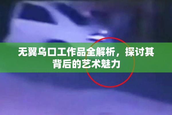 无翼乌口工作品全解析，探讨其背后的艺术魅力