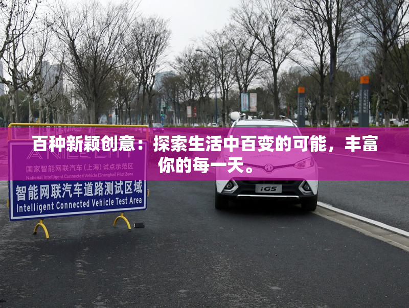 百种新颖创意：探索生活中百变的可能，丰富你的每一天。