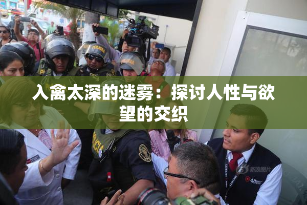 入禽太深的迷雾：探讨人性与欲望的交织