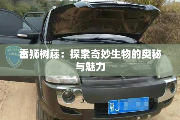 雷狮树藤：探索奇妙生物的奥秘与魅力