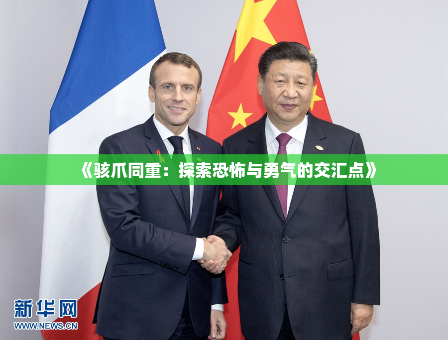 《骇爪同重：探索恐怖与勇气的交汇点》